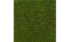 Model RC-AGPRIME - Artificial Grass