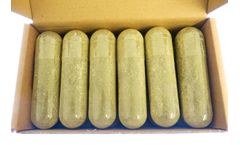 Pruex - Model 1.0 - Dry Period End - Gallic Post Calving Bolus X 12