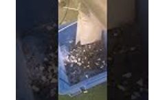 Plastic color separating machine - Video