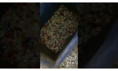Plastic color sorter machine - Video