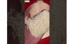 Rice color sorter- Video