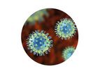 STAT-NAT - Model Pluri CoV-2-FLU-RSV - 1N042/1N049 - COVID-19 Molecular Assays Reagents Kits