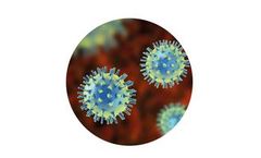 STAT-NAT - Model Pluri CoV-2-FLU-RSV - 1N042/1N049 - COVID-19 Molecular Assays Reagents Kits
