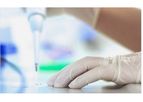 Immune Repertoire Profiling Service (TCR/BCR)