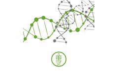Bacterial DNA Isolation Single Step