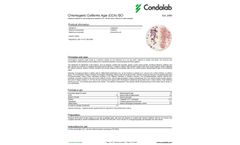 Condalab - Model ISO -2080 - Chromogenic Coliforms Agar (CCA) - Brochure
