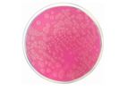 Condalab - Model 1391 - Acetamide Agar Dehydrated Culture Media