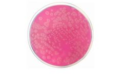 Condalab - Model 1391 - Acetamide Agar Dehydrated Culture Media