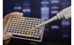 Real-Time PCR Kit