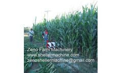 Characteristics & Advantage Of Commercial Farming 