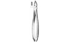 Model 786-396 - Upper Centrals and Cannies
