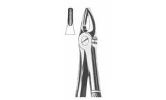 Model 786-397 - Upper Centrals and Cannies