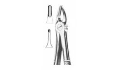 Model 786-398 - Upper Incisors and Cannies