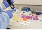 Lateral Flow Development Services