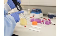 Lateral Flow Development Services