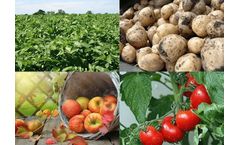 Plant Disease Tests