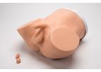 Advanced ZACK - Model S230.200 - Multipurpose Men`s Healthcare Task Trainer
