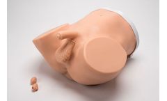 Advanced ZACK - Model S230.200 - Multipurpose Men`s Healthcare Task Trainer