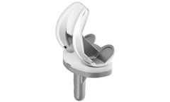 EasyKnee - Model PS - System for Condylar Replacement
