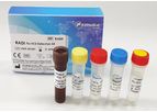 RADI - Model RV009 - Flu-SC2 Detection Kit