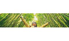 Carbon and Sustainability Services