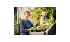 Community Gardens, Street Gardens and Compost Hubs