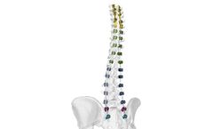 Tiger - Deformity Pedicle Screw System