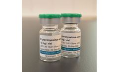 Citeq - Dermatophagoides Pteronyssinus