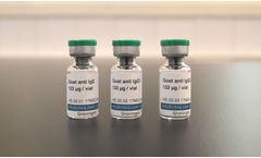 Antibodies and Biotinylation Kit