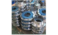 Shashwat - Model SMO 254 - Flanges