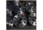 Super Duplex - Model F55 - Steel Flanges