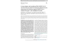 Dual-Antigen Self-Amplifying RNA SARS-Cov-2 Vaccine- Brochure - Brochure