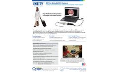 MobileFEES for SLP Brochure