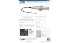 ENTity SDXL Brochure