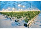 Sera Rock Wool - Lightweight Hydroponic Substrate