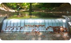 ADENWEDGEWIRE - Coanda Intake Screen