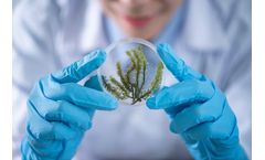Microbiological & Deposit Control Program Services