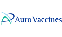 GeneVav - Model Prime/VesiculoVax - Boost Therapeutic Vaccine for HCV