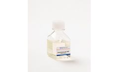 Biowest - Model L0009 - B 100 X - Amphotericin Cell Culture Media