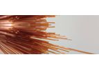 Nordson Medical - Polyimide & Composite Film Cast Tubing