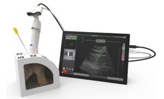 Clear Guide - Model EDU - Anesthetists Training for Ultrasound-Guided Procedures