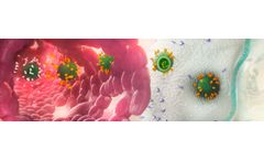 Acuitas - Intracellular Delivery of Nucleic Acid Therapeutics