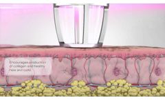 CO2RE Biological Animation - Video