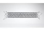 CASPER - Carotid Stent