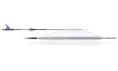 Reflow - Temporary Spur Stent System