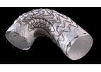 Gore - Model TAG - Conformable Thoracic Endoprosthesis