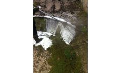 Weed and Moss Control