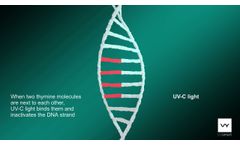 How UV-C light works on DNA/RNA - Video