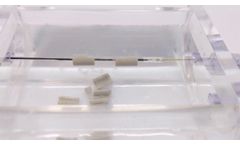 Intravascular Lithotripsy Cracking Calcium Proxy - Video