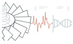 Version EzID - Extract Vibratory DNA from IBD Measurement Data Software